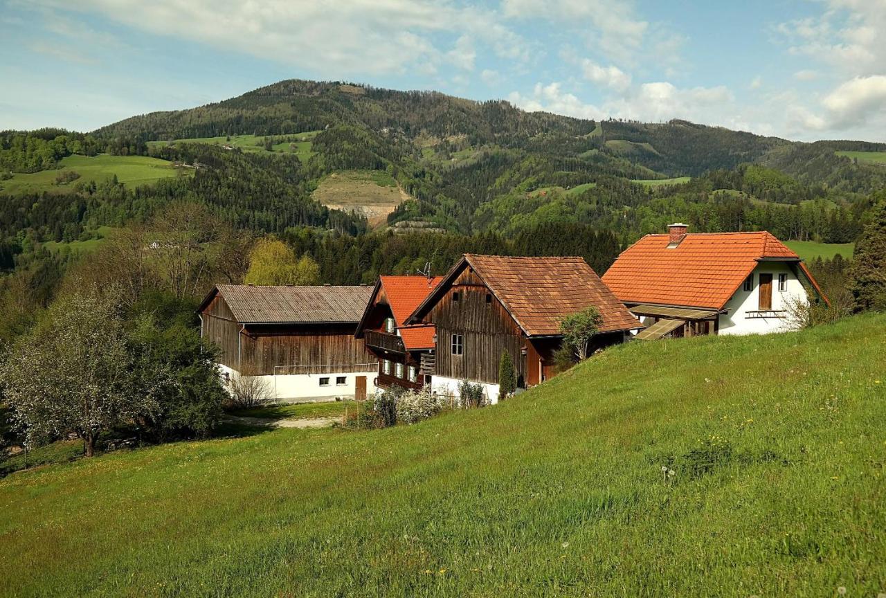 Ferienwohnungen Raczkowski Birkfeld Exterior photo
